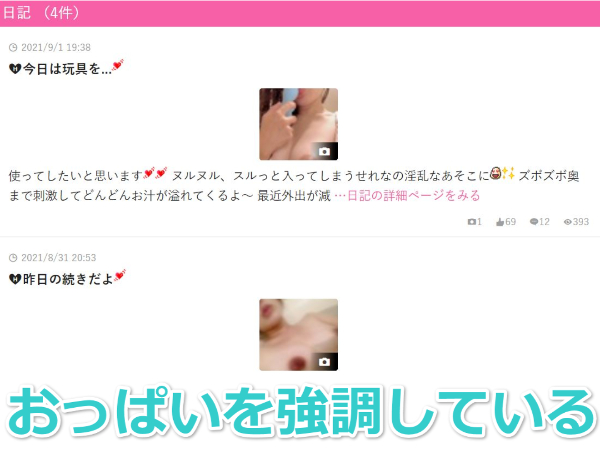 業者はおっぱいを強調している